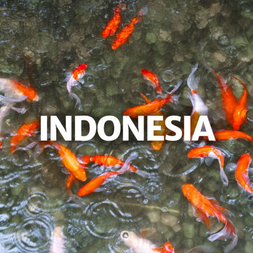 Tile - INDONESIA